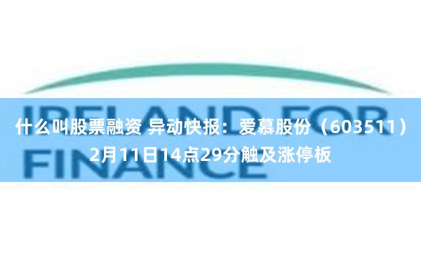 什么叫股票融资 异动快报：爱慕股份（603511）2月11日14点29分触及涨停板