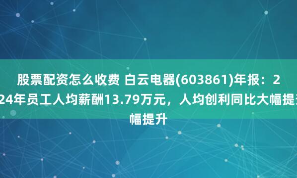 股票配资怎么收费 白云电器(603861)年报：2024年员工人均薪酬13.79万元，人均创利同比大幅提升