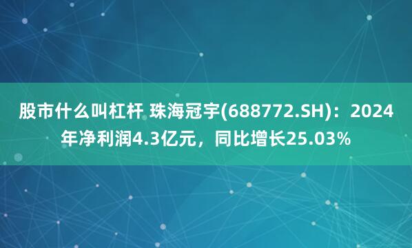 股市什么叫杠杆 珠海冠宇(688772.SH)：2024年净利润4.3亿元，同比增长25.03%