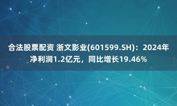 合法股票配资 浙文影业(601599.SH)：2024年净利润1.2亿元，同比增长19.46%