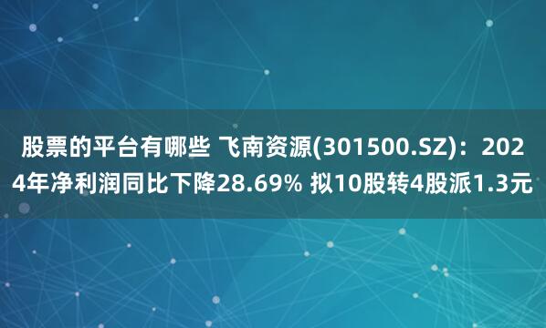 股票的平台有哪些 飞南资源(301500.SZ)：2024年净利润同比下降28.69% 拟10股转4股派1.3元