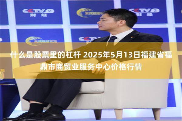 什么是股票里的杠杆 2025年5月13日福建省福鼎市商贸业服务中心价格行情