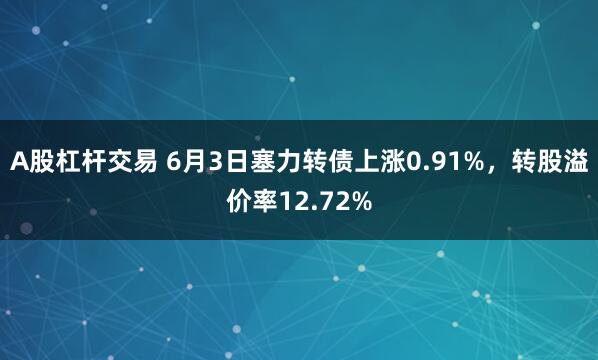 A股杠杆交易 6月3日塞力转债上涨0.91%，转股溢价率12.72%