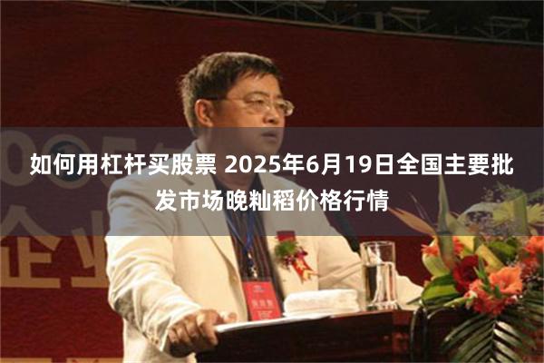 如何用杠杆买股票 2025年6月19日全国主要批发市场晚籼稻价格行情