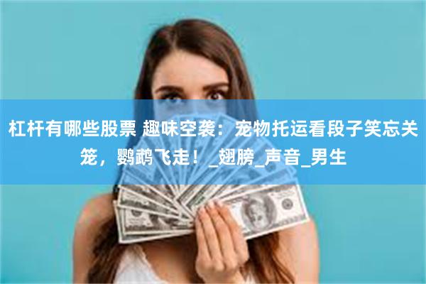 杠杆有哪些股票 趣味空袭：宠物托运看段子笑忘关笼，鹦鹉飞走！_翅膀_声音_男生