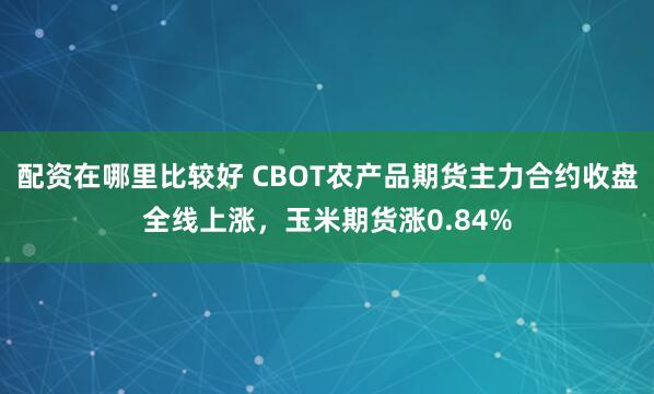 配资在哪里比较好 CBOT农产品期货主力合约收盘全线上涨，玉米期货涨0.84%