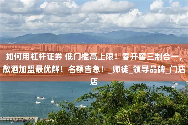 如何用杠杆证券 低门槛高上限！春开窖三制合一，散酒加盟最优解！名额告急！_师徒_领导品牌_门店