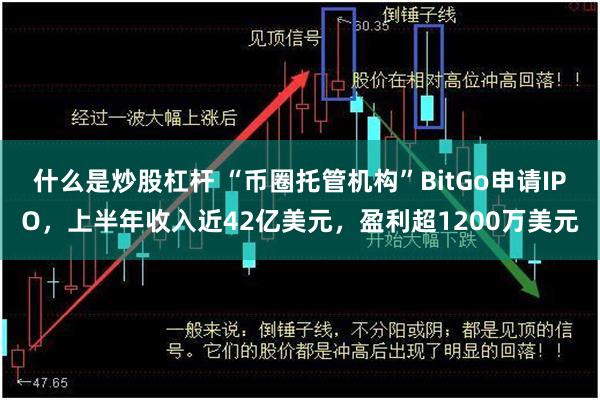 什么是炒股杠杆 “币圈托管机构”BitGo申请IPO，上半年收入近42亿美元，盈利超1200万美元