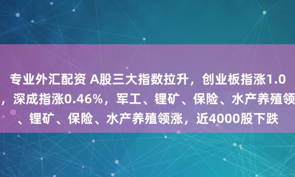 专业外汇配资 A股三大指数拉升，创业板指涨1.01%，沪指涨0.43%，深成指涨0.46%，军工、锂矿、保险、水产养殖领涨，近4000股下跌